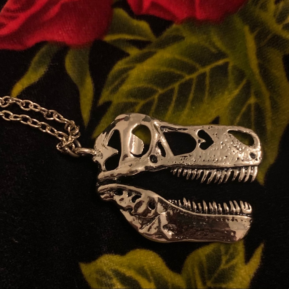 🔥BOGO item🔥32” Dino skull fossil necklace.